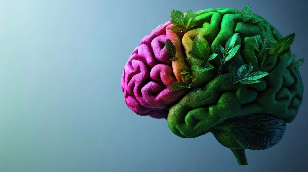 capital cerebral entra no radar econômico global