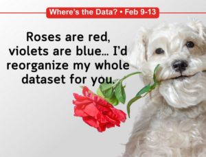 Semana do Amor aos Dados